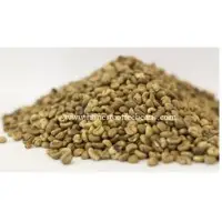 Arabica Coffee